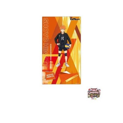 NEU Nippon Television Service Haikyuu Wooden Pop Stand Vol. 2 Hinata Shoyo