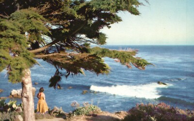 Postcard CA Carmel Rugged Coastline Monterey Peninsula Chrome Vintage PC e3628
