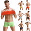 Miniaturansicht 1  - Men&#039;s Boxer Briefs See Through ice silk Underwear Trunks Shorts U Convex Pouch