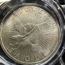 1/2 oz Silver Bullion Sunshine Silver Eagle Wild Toner