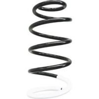 Spidan 86711 Fahrwerksfeder FüR Fiat Citroen Peugeot Jumpy Expert Scudo VF3A