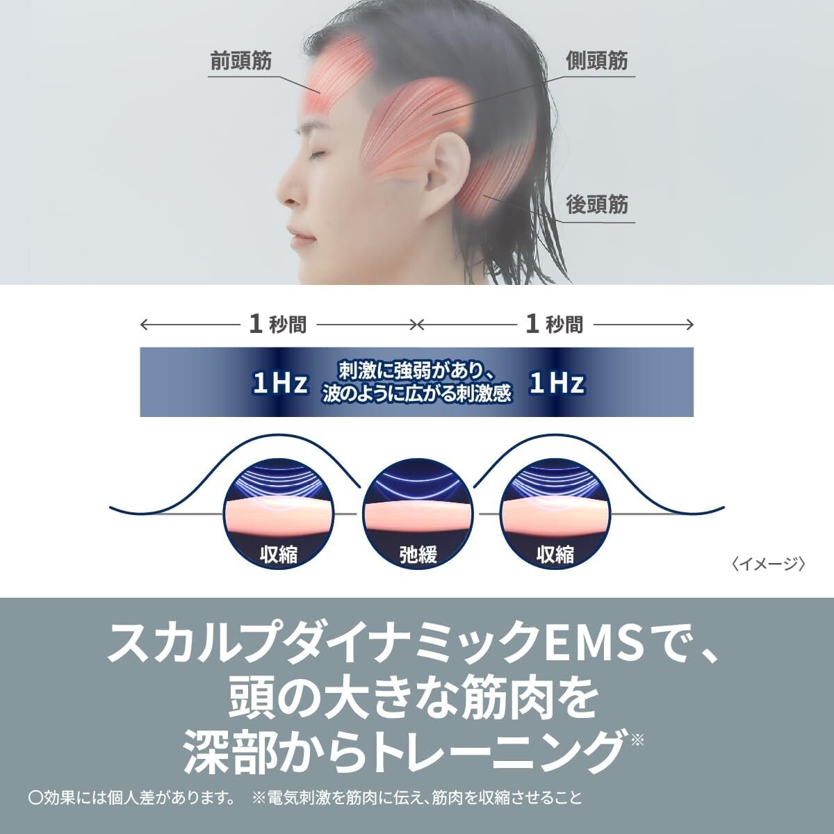 Panasonic EH-SP60-H Vitalift Brush EMS Electric Brush Face Care 
