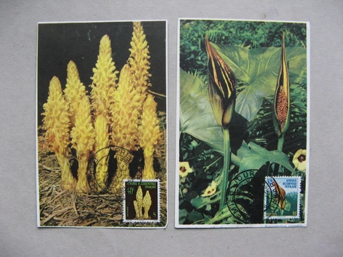 FRENCH WEST AFRICA, 2x maximumcard maxi card FDC 1959, flowers