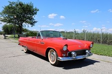 1955 Ford Thunderbird for Sale