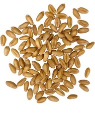 Certified Glyphosate Residue Free Palouse Brand Soft White Wheat Berries, 18 LBS