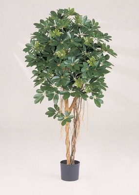 artplants Künstliche Schefflera Naturell, getopft, grün, Lianen, 110cm