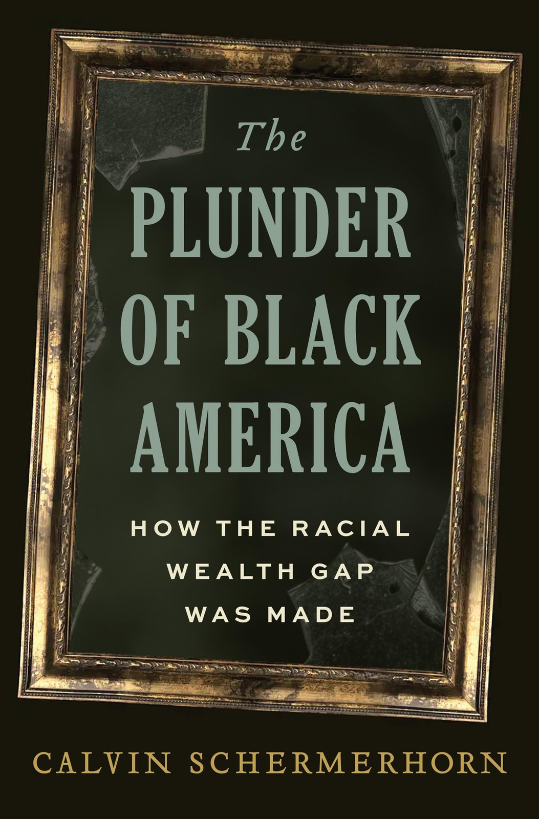 Schermerhorn Calvin Plunder Of Black America HBOOK NUOVO