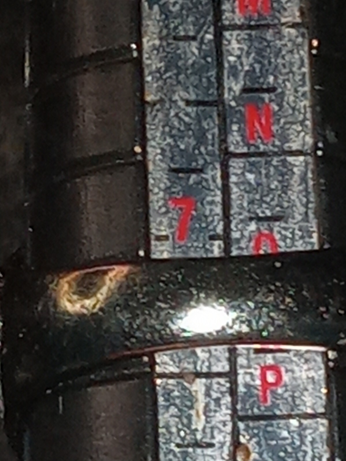 Picture 5 of 5