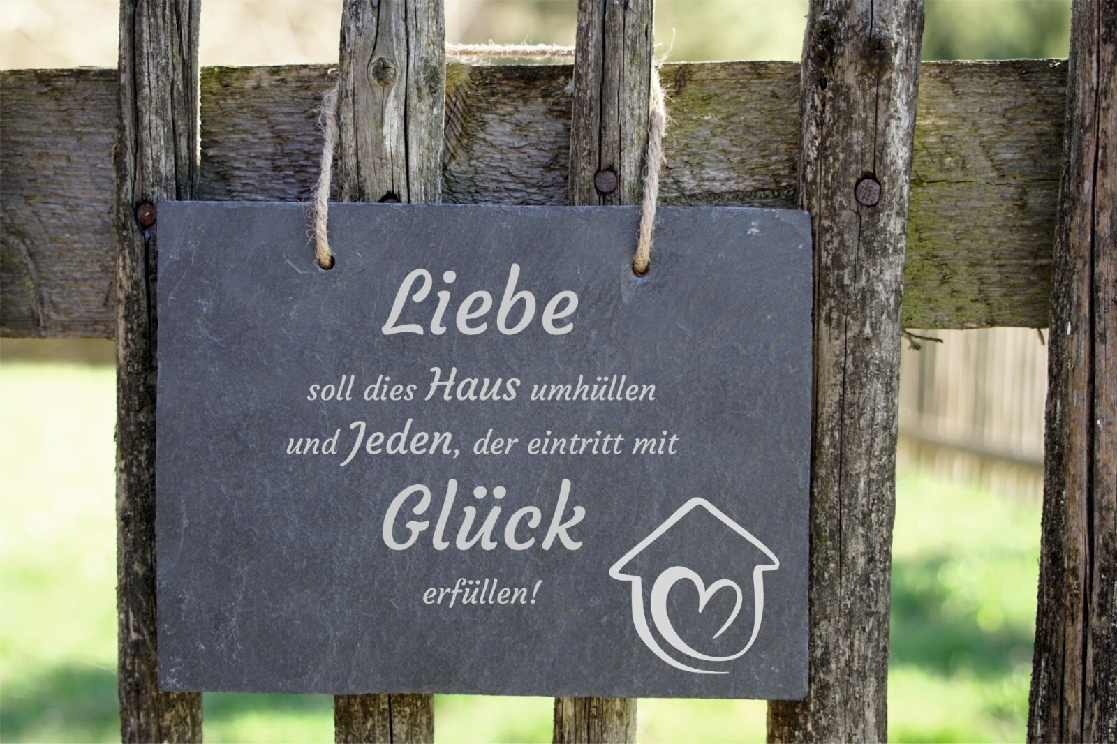 Bild 13 von 13