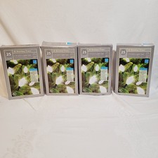 4 Boxes Holiday Time 25 Faceted Bulbs C9 LED Light Set, Cool White, Unused
