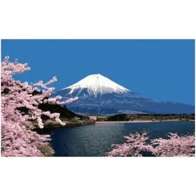 PINN CROSS STITCH KIT Mount Fuji and Cherry Blossoms (F02)