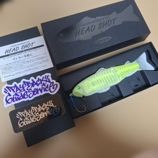 limited deps slide swimmer 250HS headshot c.cx-ray 309361
