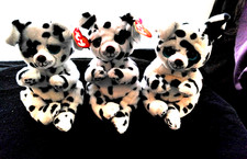 3 Dalmatian Puppy Dog Rowdy New Ty Beanie Babies Bellies the 6"