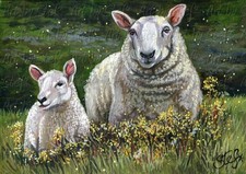 SPECIALE PRIMAVERA! Prato dolce pecora pecora pecora campo di agnello ORG ACEO DIPINTO arte di Stef