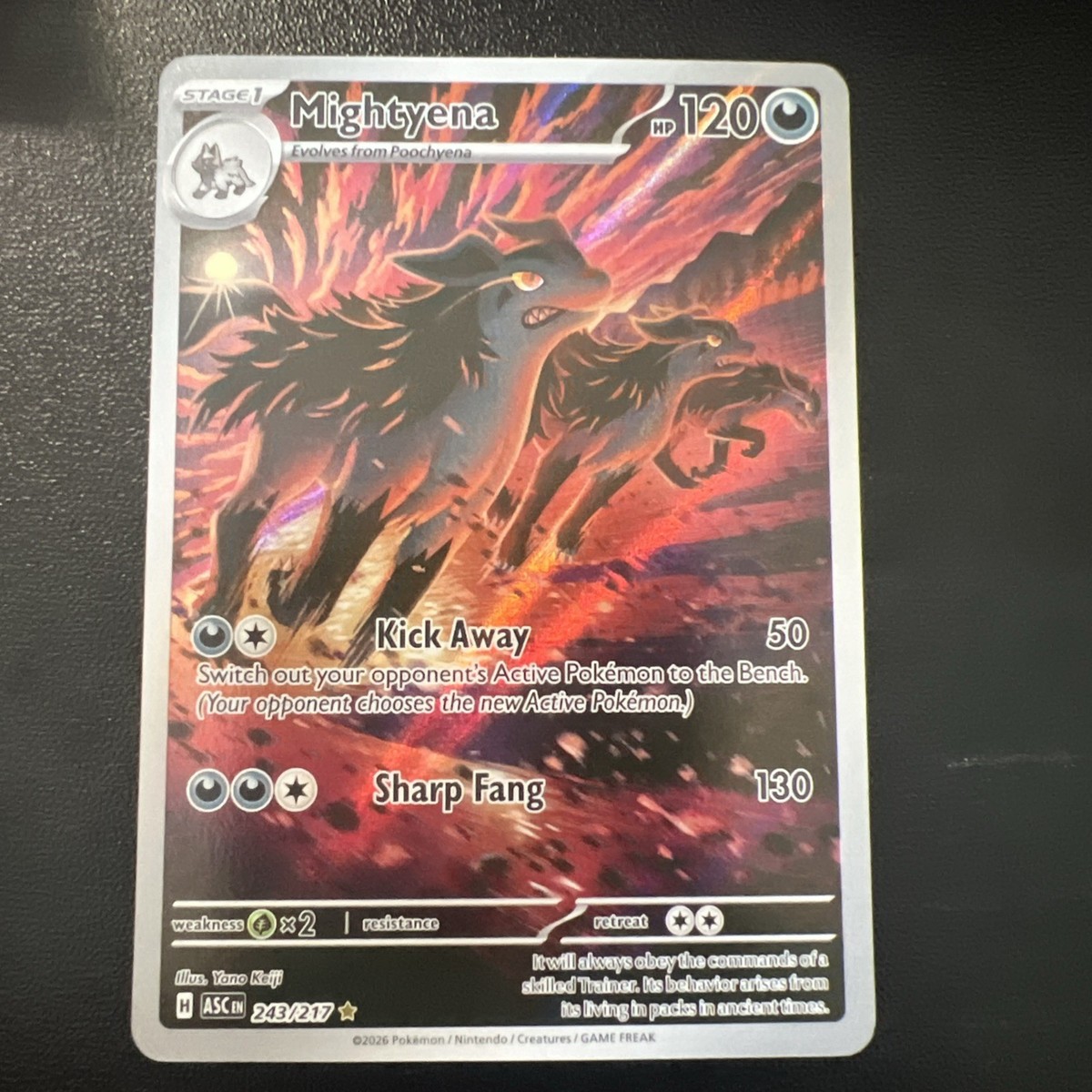 Mightyena 243/217 Ascended Heroes IR Near Mint Pokemon English | eBay