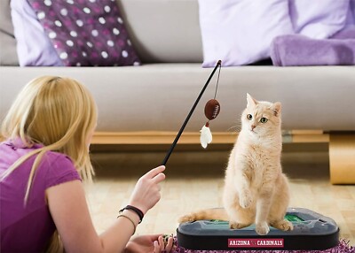Pets First NFL Cat Scratcher Football Field Toy with Catnip Wand Teaser