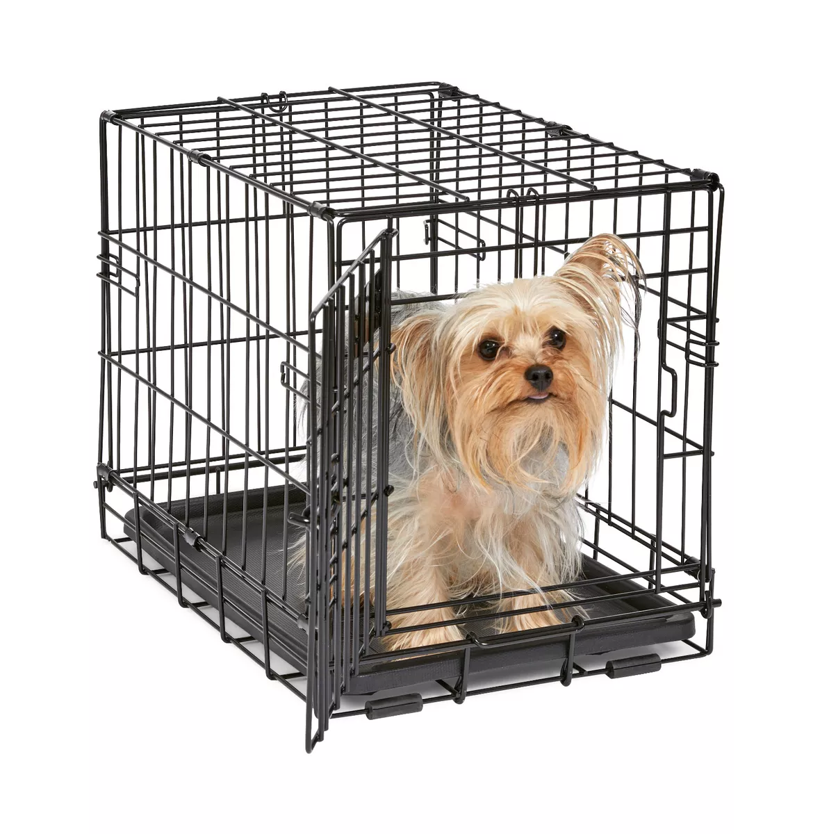 MidWest Newly Enhanced Folding Metal Toy Dog Crate with Divider