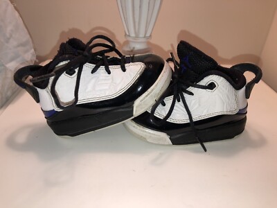 Nike Air Jordan Dub Zero TD Space Jam Concord Black White