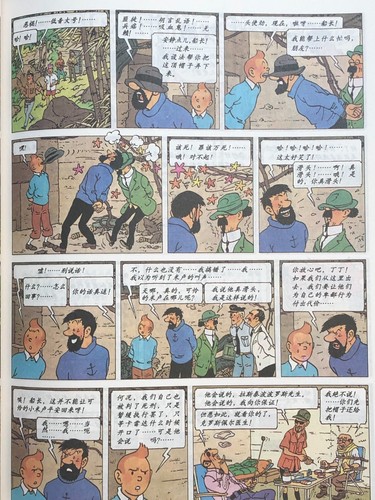 中国连环画小人书全新彩色经典丁丁历险记全套22本 - Picture 5 of 7