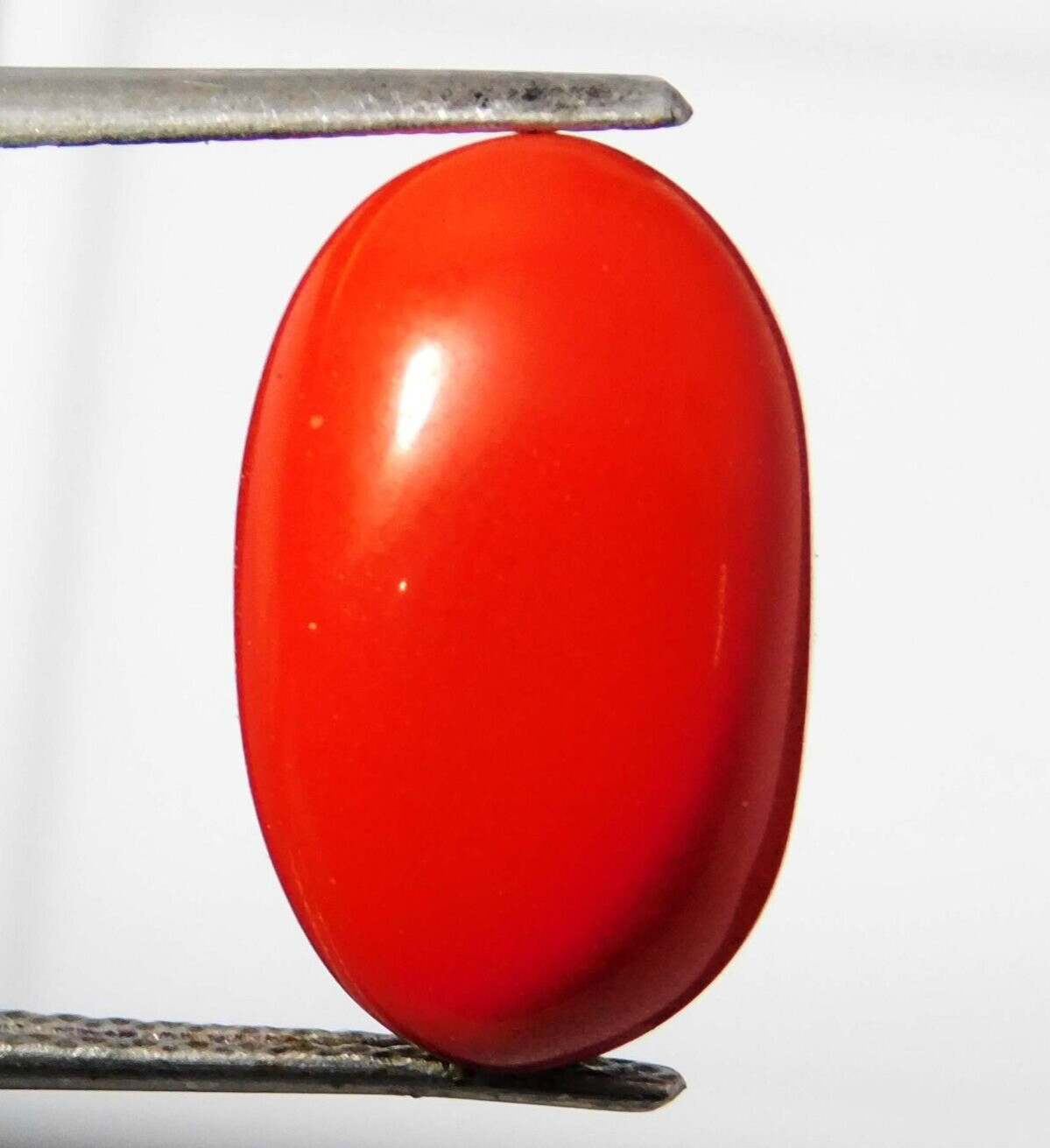 9,25 quilates natural italiano coral rojo cabujón corte ovalado piedra precio...