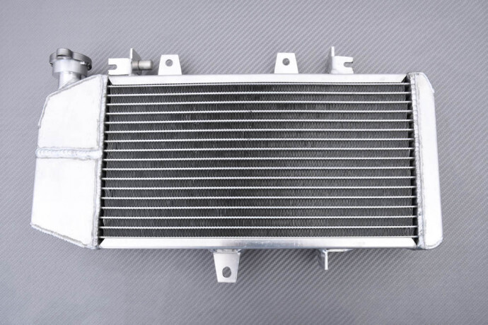 Radiateur eau pour BMW F800S idéal pour affronter les embouteillages d'été
