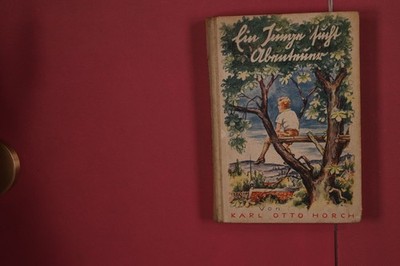 354281 Karl Otto Horch EIN JUNGE SUCHT ABENTEUER J. F. Steinkopf HC