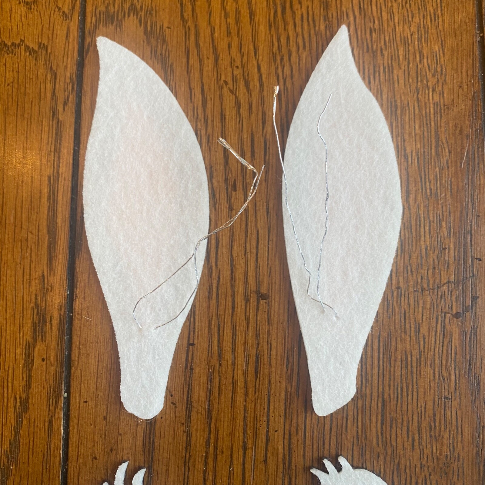Picture 5 of 6