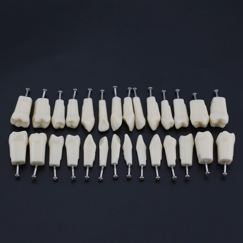Tipodonte dental Kilgore Nissin 200 modelo 28 piezas poste de montaje dental examen - Imagen 34 de 94