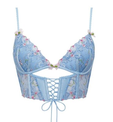 Vs love for lemons floral embroidered lace up Bra top nEW 36dd