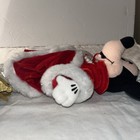 Bild 12 von 13