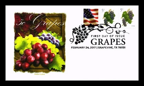 US COVER GRAPES FIRST DAY ISSUE COMBO PANDA CACHET