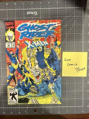 Ghost Rider #26 (Marvel Comics June 1992)