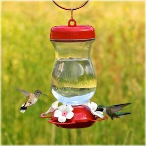 Woodstream Perky Pet 132tf 24oz Perky S Finest Top Fill Glass