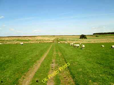 Foto 12x8 Spur durch Felder auf Six Dales Trail Gollinglith Fuß c2015