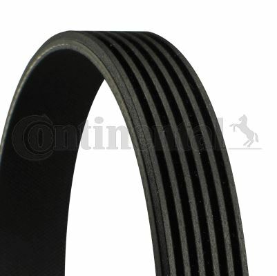 CONTINENTAL COURROIE D'ACCESSOIRE POUR JAGUAR S-TYPE 2.7 D,BMW 3 325 I,6 630 I