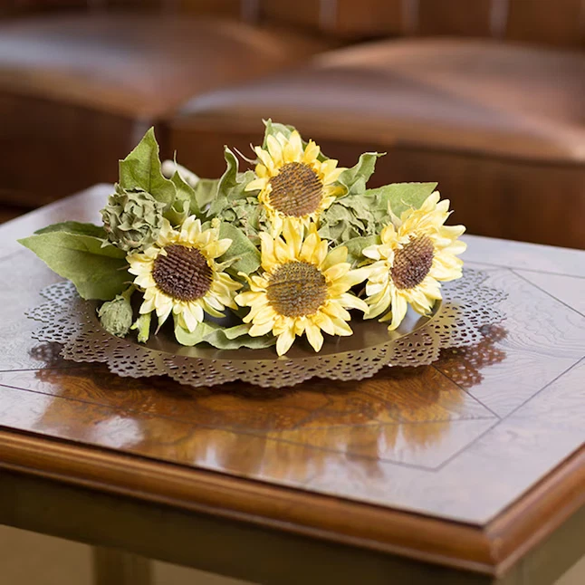 Zinsser Bulls Eye Clear Flat a base de alcohol interior Shellac (1 cuarto de galón) Foto 2 de 2