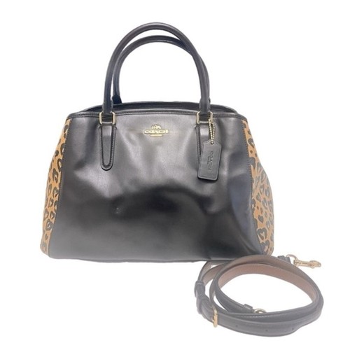 Coach Handtasche Wild Heart Print klein Margot Carryall Umhängetasche Tasche F24207 - Bild 1 von 6