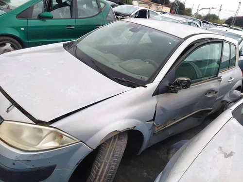 Türgriff Hinten Aussen Links für RENAULT MEGANE II BERLINA 5P 2004 1594482 - Bild 5 von 7