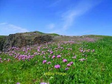 Photo 12x8 Sea Pink Covered Cliff-tops above Traeth Llyfn Portheiddy  c2012
