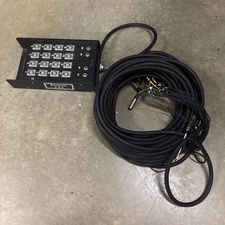 Conquest USA Stage Audio Snake - 20 Channels - 100ft Cable