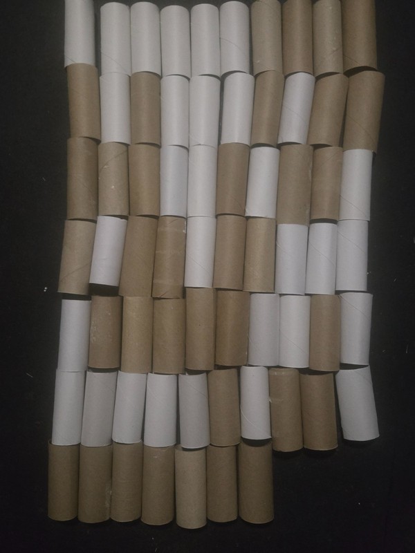 Lot of 67 Empty Cardboard Toilet Paper Rolls - Arts and Crafts DIY Projects