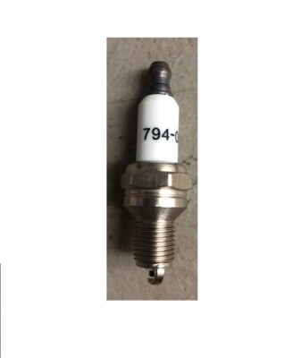 Candela Di Accensione Champion/MTD RDZ4H | Sostituisce 794-00082, 794-00043, 753-05784 | USA