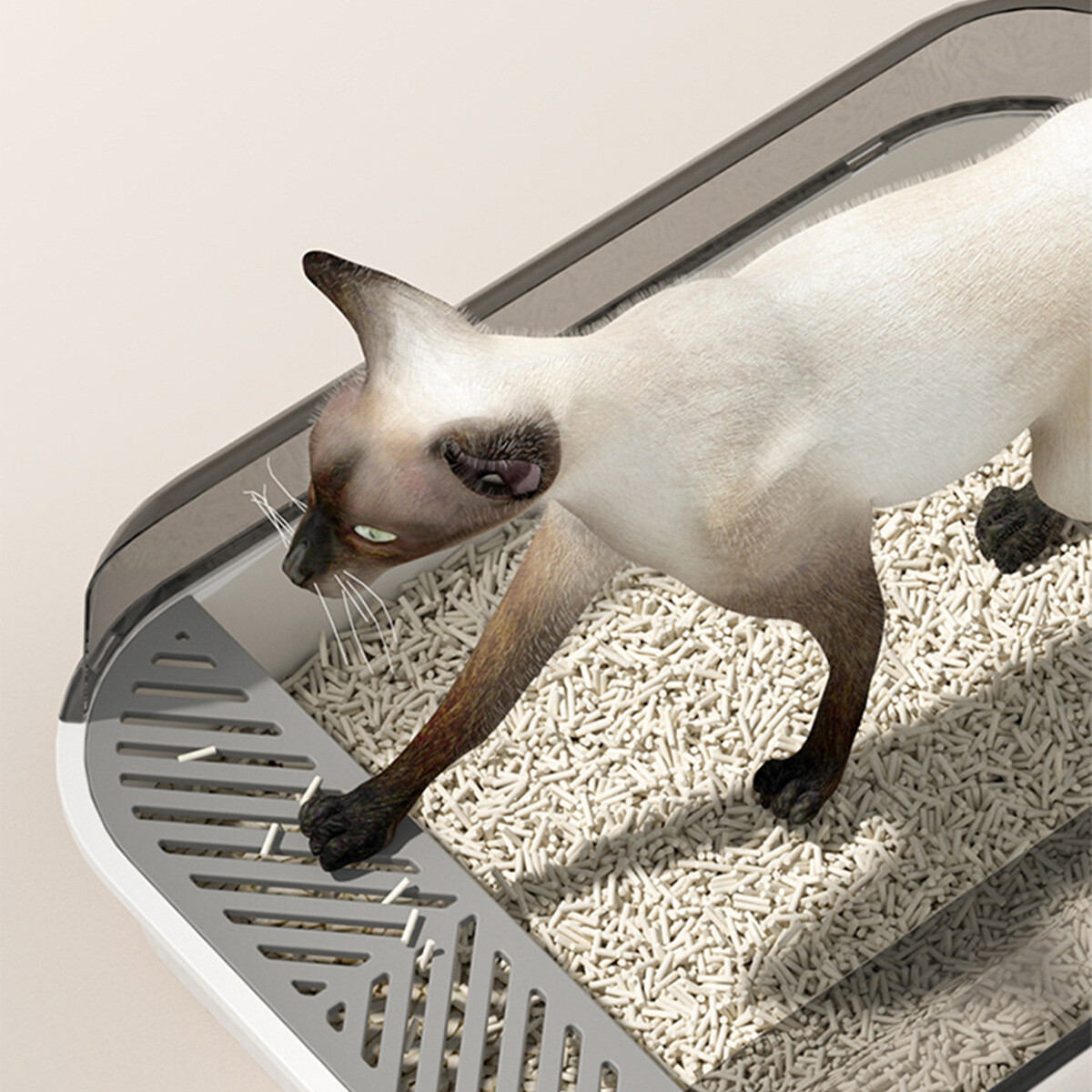 Katzentoilette Jumbo Schalentoliette Mit Rand  12 Liter, Katzenklo Zum  ffnen Katzentoilette Edelstahl