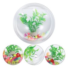  Accessorio per piante per acquario per pesci rossi a parete trasparente per