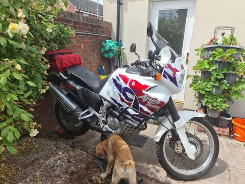 1988 Honda XRV 750 RF07A Africa Twin 26 image