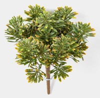 Artplants Deko Crossostephium Karahni Auf Steckstab, GrüN-Orange, 20Cm