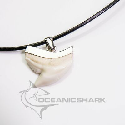 Tiger shark tooth sleek modern minimalist style s18