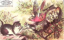 c1880 ROCHESTER NY G.W. INGALLS & CO BOOTS SHOES VICTORIAN TRADE CARD P4454