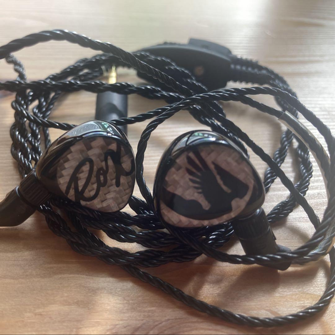 Roxanne UNIVERSAL IEM Silver Carbon Audio | eBay Roxanne UNIVERSAL IEM Silver Carbon Audio | eBay