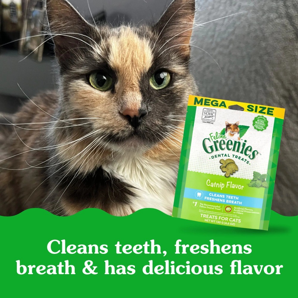 Feline Greenies Adult Natural Dental Care Cat Treats, Catnip Flavor, 21 Oz Tub